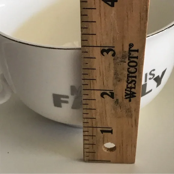 "My Dog is Family" Coffee Cup Mug My Fido Pet Lover Collection- Whte W/Gold Trim - Picture 12 of 13